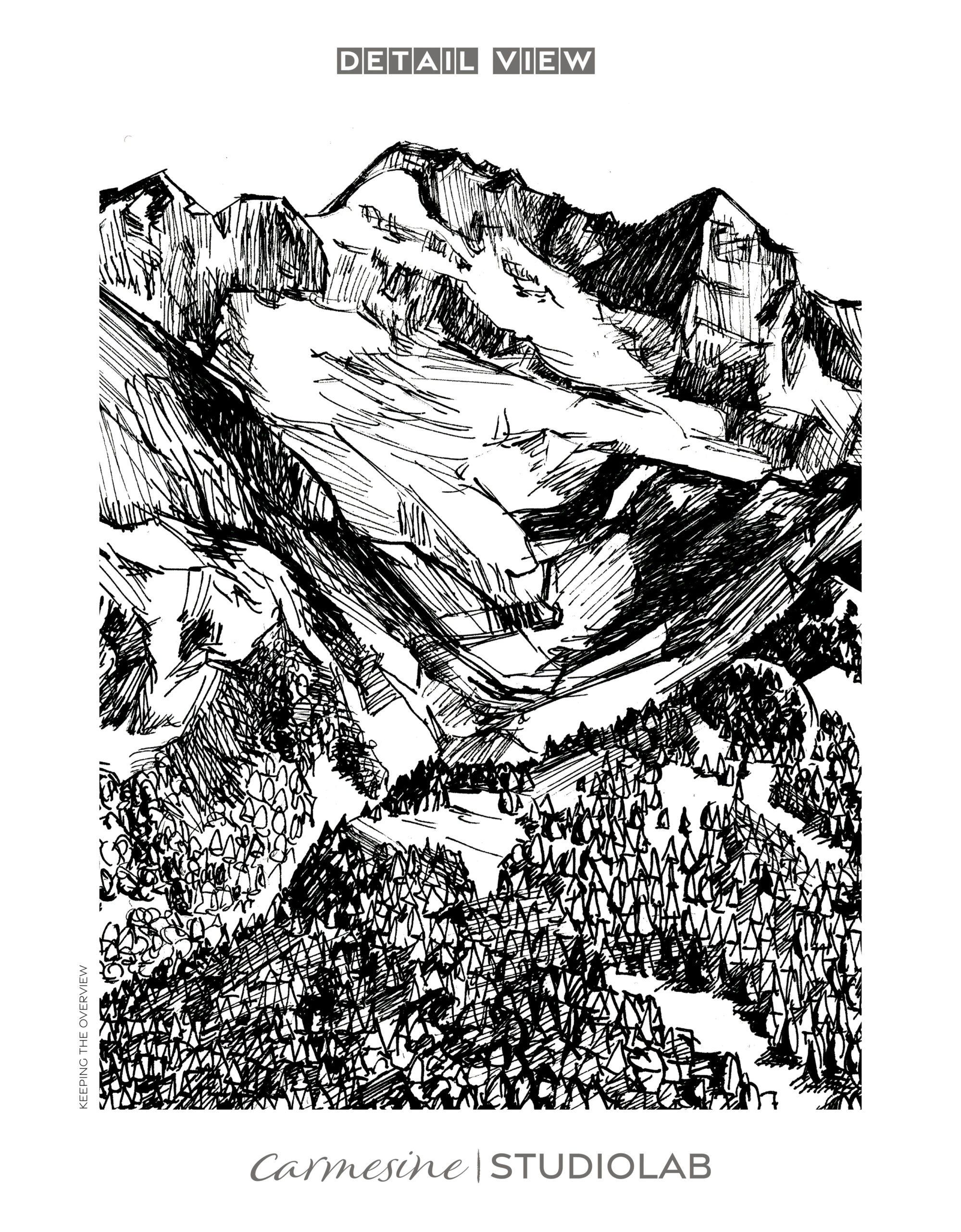 Detail of final ink drawing.