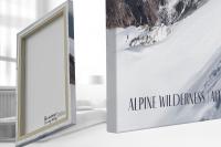 Llenç - Olperer Tyrol III
