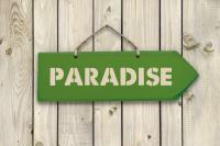 Arrow - Paradise